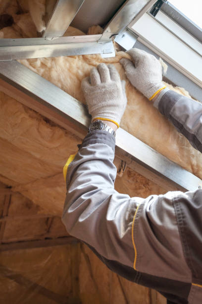 Best Insulation Installation Services in Rosewood Heights, IL