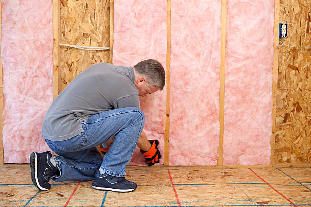 Best Insulation Installation Services in Rosewood Heights, IL